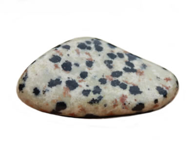 Jaspe dalmatien
